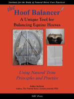 the Hoof Balancer: A Unique Tool for Balancing Equine Hooves