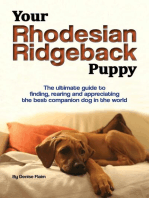 Your Rhodesian Ridgeback Puppy: The ultimate guide to finding, rearing and appreciating the best companion dog in the world