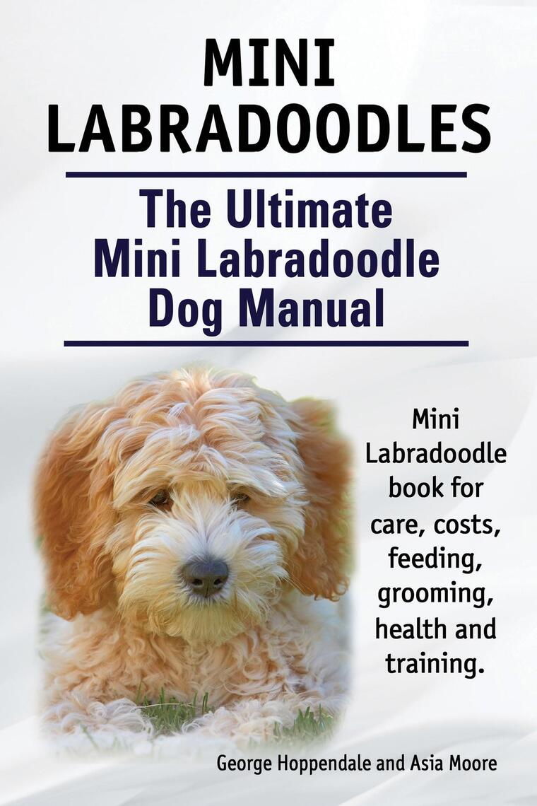 Mini Labradoodles. The Ultimate Mini Labradoodle Dog Manual. Miniature ...