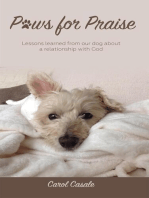 Paws for Praise: Lessons learned from our dog about a relationship with God