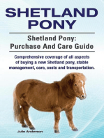 Shetland Pony. Shetland Pony comprehensive coverage of all aspects of buying a new Shetland pony, stable management, care, costs and transportation. Shetland Pony: purchase and care guide.