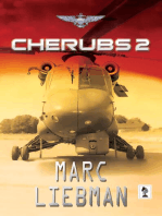 Cherubs 2