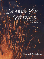 Sparks Fly Upward: why God allows us to suffer