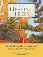 The Healing Trees