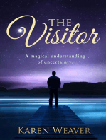 The Visitor: A magical understanding of uncertainty