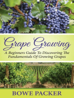 Grape Growing: A Beginners Guide To Discovering The Fundamentals Of Growing Grapes