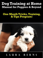 Dog Training at Home Manual for Puppies & Beyond