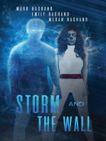 Storm and The Wall