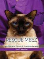 Rescue Meez: My Journey Through Siamese Rescue