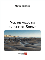 Vol de milouins en baie de Somme