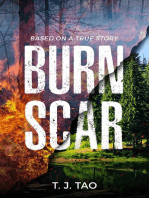 BURN SCAR: A Contemporary Disaster Thriller