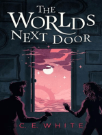 The Worlds Next Door