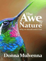 The Awe of Nature: Why We Should Seek It Out