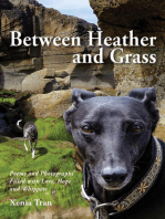 Between Heather and Grass: Poems and Photographs Filled with Love, Hope and Whippets