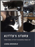 KITTY'S STORY: FROM FERAL KITTEN TO REIGNING HOUSECAT