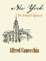 NEW YORK: IN SMALL SPACES