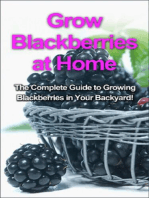Grow Blackberries at Home: The complete guide to growing blackberries in your backyard!