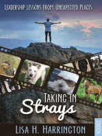 Taking In Strays, Leadership Lessons From Unexpected Places
