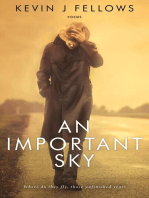 An Important Sky