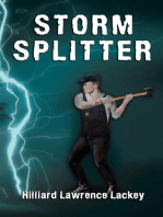 Storm Splitter