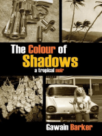 The Colour of Shadows