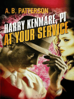 Harry Kenmare, PI - At Your Service