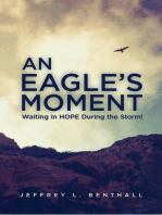 An Eagle's Moment: Waiting in HOPE During the Storm!