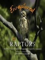 Enraptured by Raptors