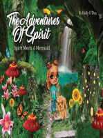 The Adventures of Spirit: Spirit Meets A Mermaid
