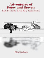 The Adventures of Petey and Steven