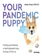 Your Pandemic Puppy