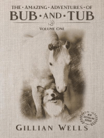 The Adventures of Bub & Tub: Volume One