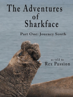 The Adventures of Sharkface: Part One, Journey South