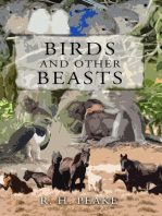 Birds and Other Beast