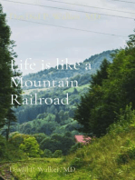 Life is like a Mountain Railroad