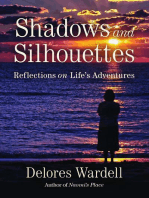 Shadows and Silhouettes: Reflections on Life's Adventures