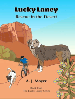 Rescue in the Desert