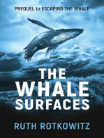 The Whale Surfaces
