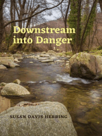 Downstream into Danger