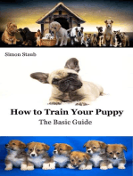 How to Train Your Puppy: Dog training