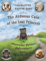 The Arduous Case of the Lost Princess