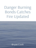 Danger Burning Bonds Catches Fire Updated