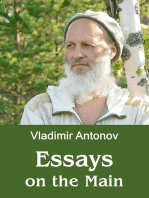 Essays on the Main