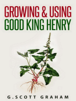 Growing & Using Good King Henry
