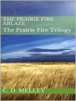 The Prairie Fire Ablaze