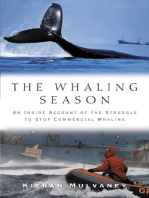 The Whaling Season: An Inside Account Of The Struggle To Stop Commercial Whaling