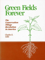 Green Fields Forever