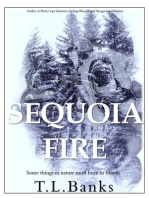 Sequoia Fire