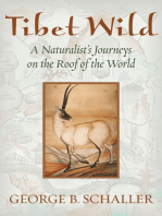 Tibet Wild: A Naturalist's Journeys on the Roof of the World