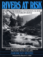 Rivers at Risk: Concerned Citizen's Guide To Hydropower